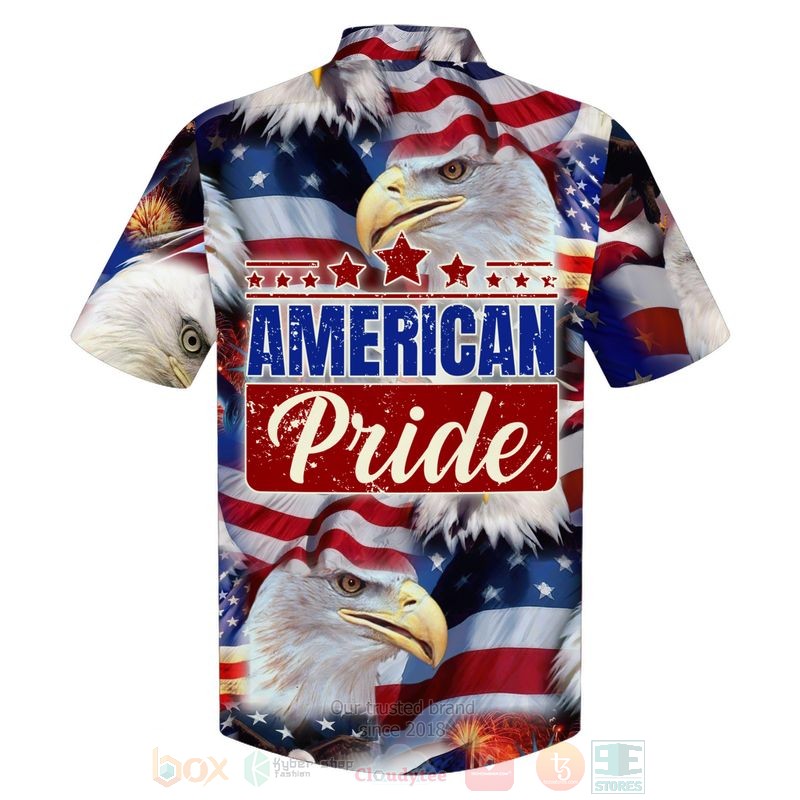America Pride Eagle Independence Day 3D Hoodie America Pride Eagle Independence Day 3D Hoodie