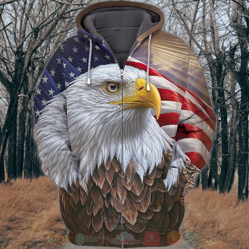 American Flag And Eagle 3D Zip Hoodie American Flag And Eagle 3D Zip Hoodie