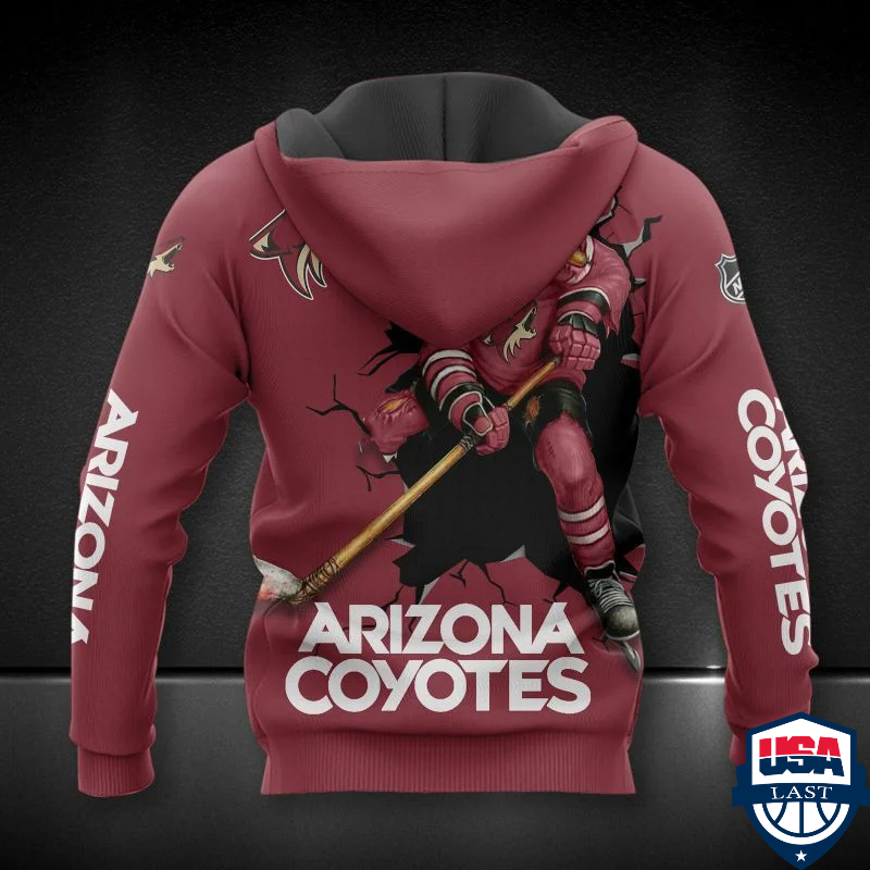 Arizona Coyotes Nhl Ver 7 All Over Printed Hoodie Arizona Coyotes Nhl Ver 7 All Over Printed Hoodie