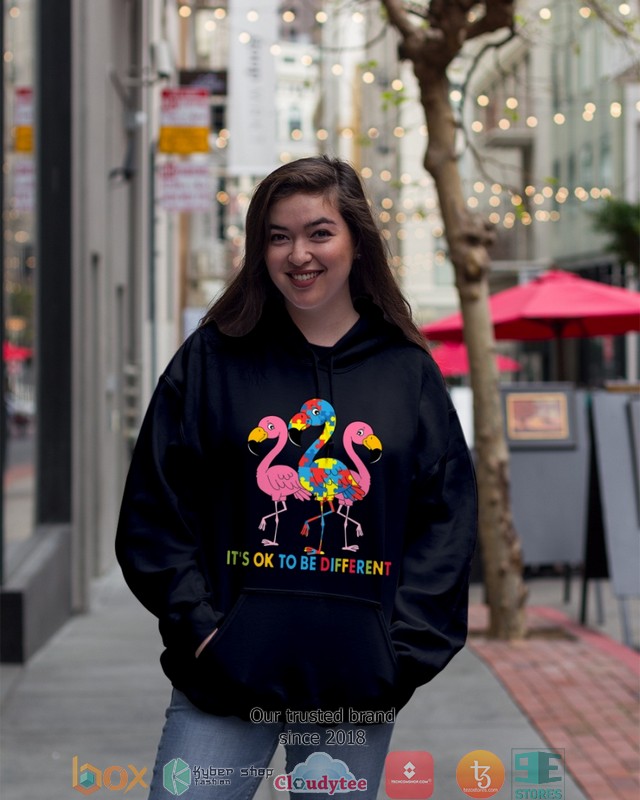 Autism-Awareness-ItS-Ok-To-Be-Different-Shirt-Hoodie-2