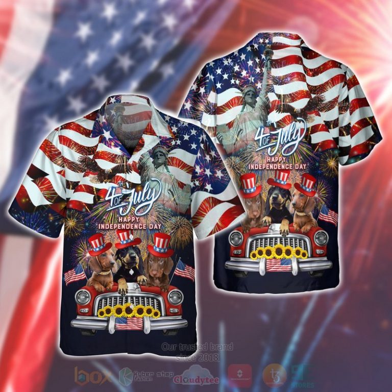 Shirt Shirt