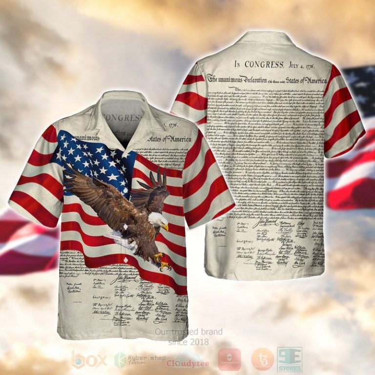 Shirt Shirt