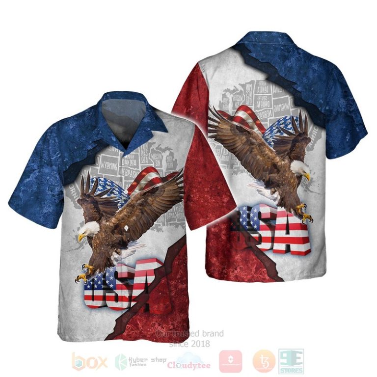 Shirt Shirt