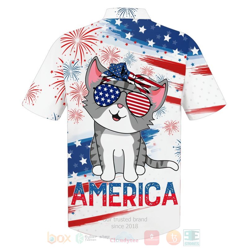 Flag Cat Cute Us Independence Day 3D Hoodie Flag Cat Cute Us Independence Day 3D Hoodie