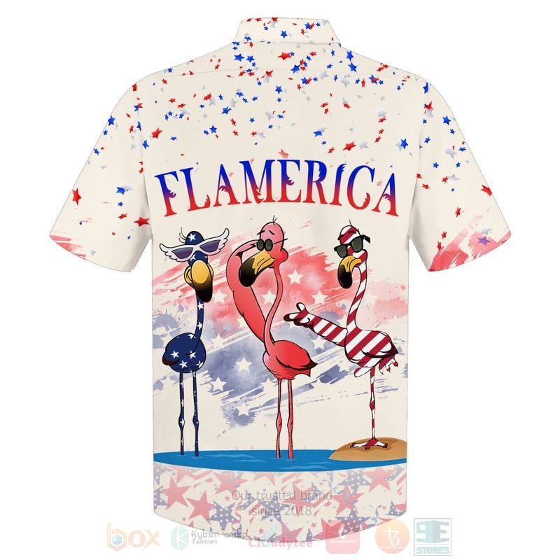 Flamerica Independence Day 3D Hoodie Flamerica Independence Day 3D Hoodie