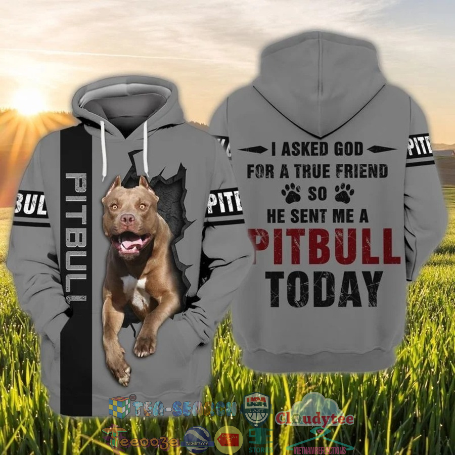 I Asked God For A True Friend So He Sent Me A Pitbull Today 3D Hoodie I Asked God For A True Friend So He Sent Me A Pitbull Today 3D Hoodie