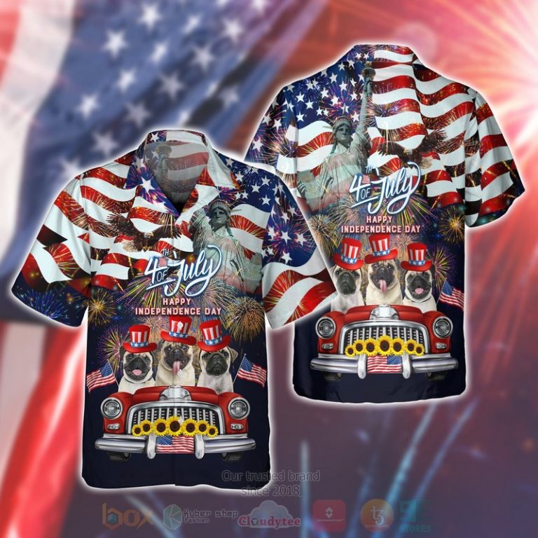 Shirt Shirt